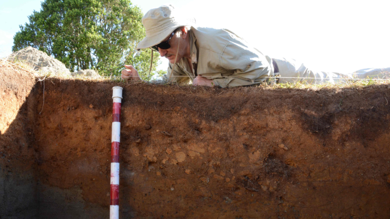 30 Researchers Just Tore Apart a Study on Monte Verde’s Ancient Past
