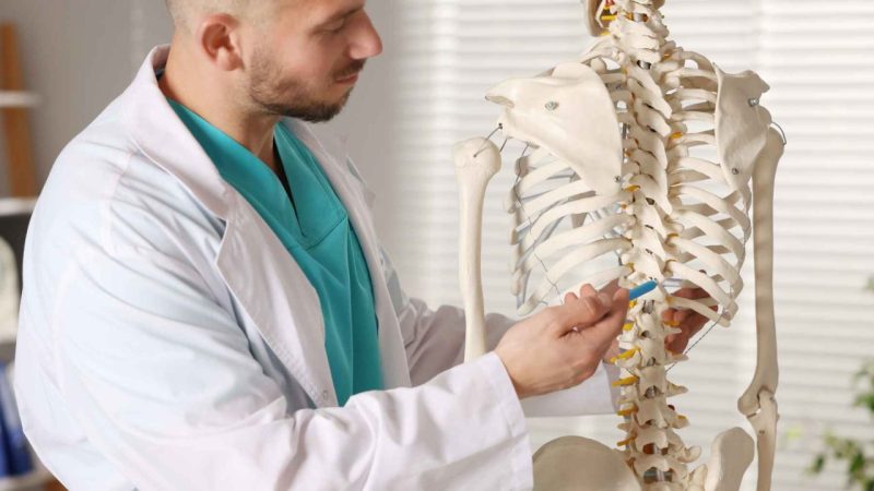 A Little-Known Receptor Just Made Mouse Bones Stronger Than Expected