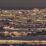 Antarctica Lost Massive Sea Ice in 2015 — Scientists Finally Know Why