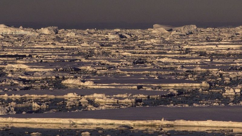 Antarctica Lost Massive Sea Ice in 2015 — Scientists Finally Know Why