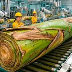 Banana Trunks Left After Harvest Are Now Being Turned Into Fabric