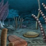 Canadian Fossils Just Pushed Complex Animal Evolution Back 10 Million Years