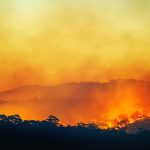 Climate Scientists Say Last Month Was a Once-in-a-Century Moment