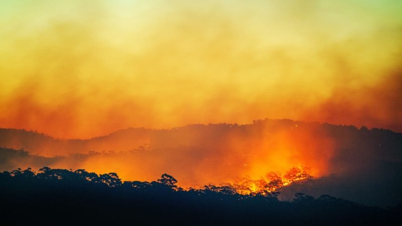 Climate Scientists Say Last Month Was a Once-in-a-Century Moment