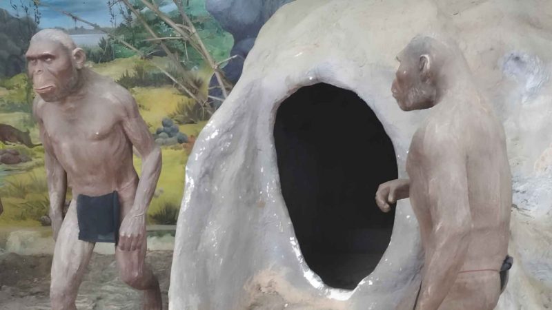 Fossils and Climate Models Just Pinpointed Where Homo Sapiens Were Born