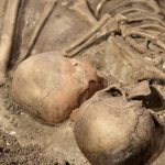 Human Brains Have Been Shrinking for Millennia — But We Got Smarter