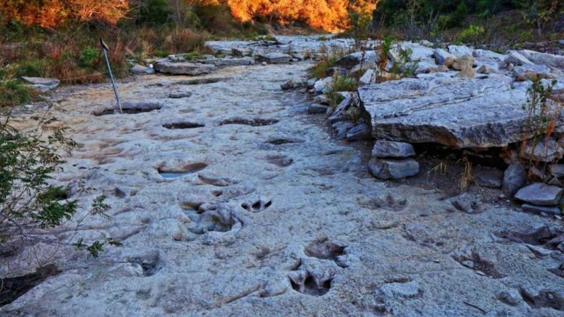 Texas Floodwaters Pulled Back the Ground and Revealed 100 Million Years of History