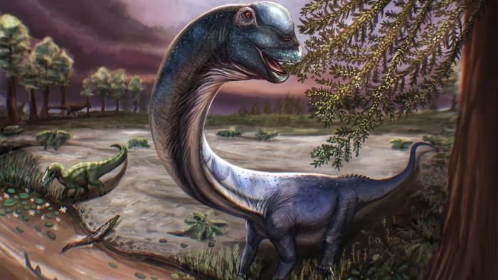 Thailand’s Longest-Necked Dinosaur Was Hiding in Plain Sight for Decades